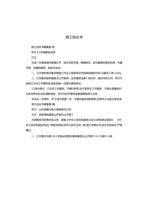 用工协议书.docx