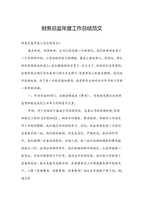 财务总监工作总结范文.docx