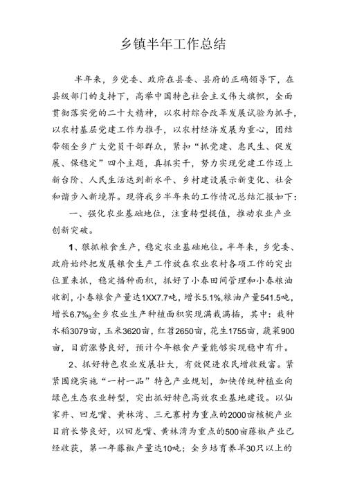 乡镇半年工作总结范文.docx