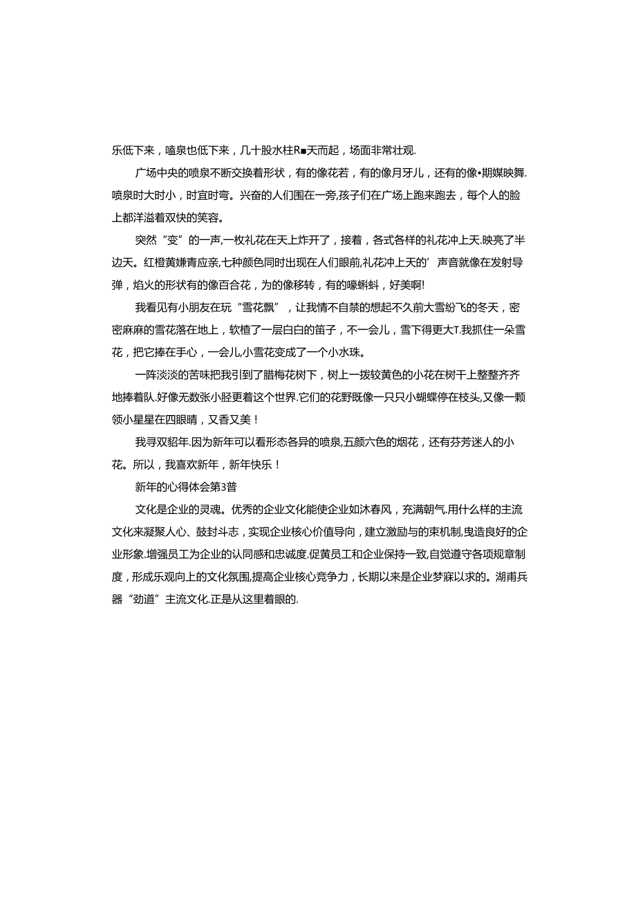 新年的心得体会.docx_第2页