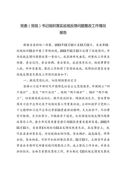 2024年党委（党组）书记组织落实巡视反馈问题整改工作情况报告.docx