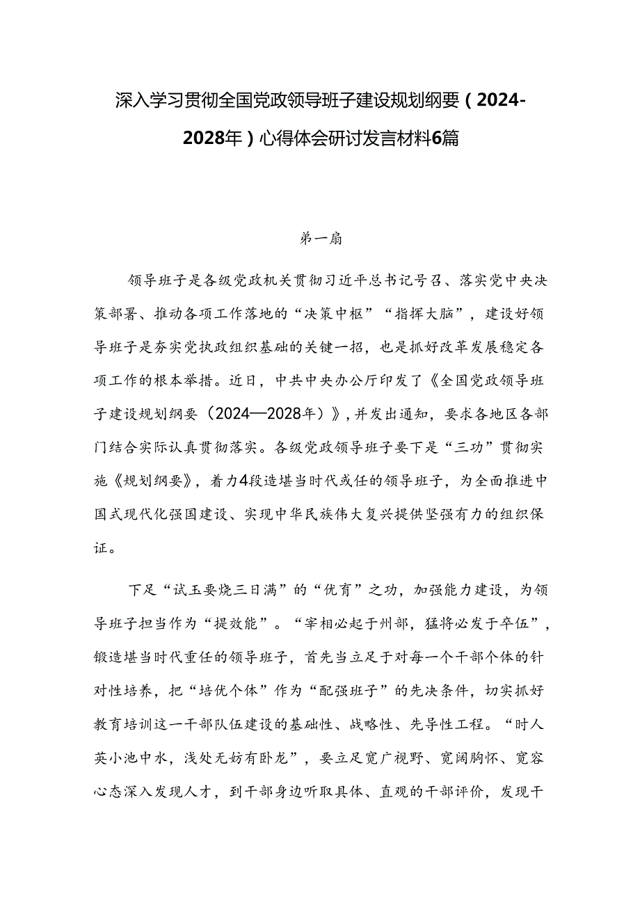 深入学习贯彻全国党政领导班子建设规划纲要（2024—2028年）心得体会研讨发言材料6篇.docx_第1页