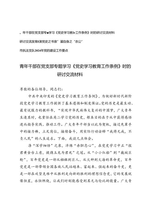 4篇 青年干部在党支部专题学习《党史学习教育工作条例》时的研讨交流材料+市执法支队2024年党的建设工作要点.docx