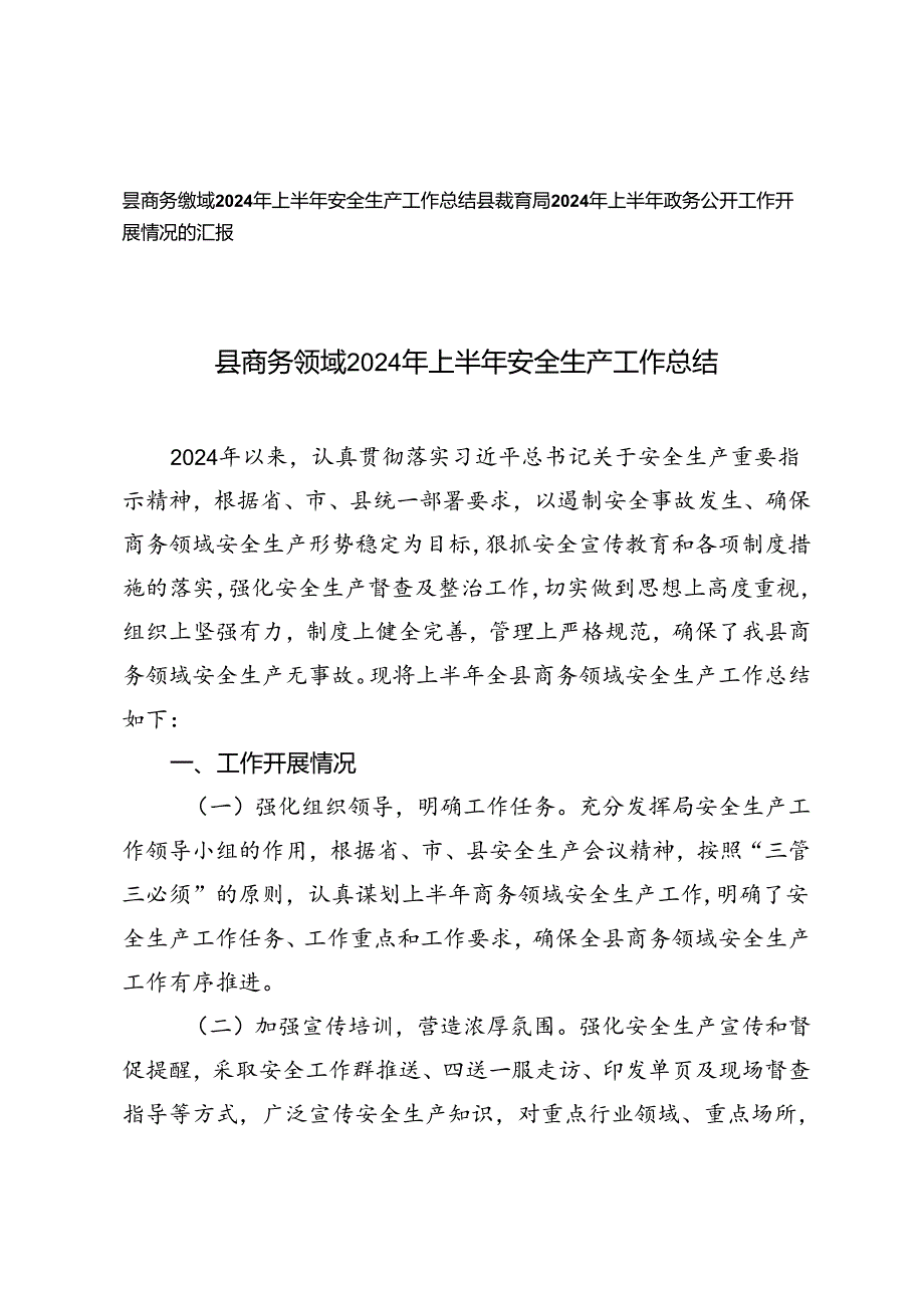 2篇 县教育局2024年上半年政务公开工作开展情况的汇报+2024年上半年安全生产工作总结.docx_第1页