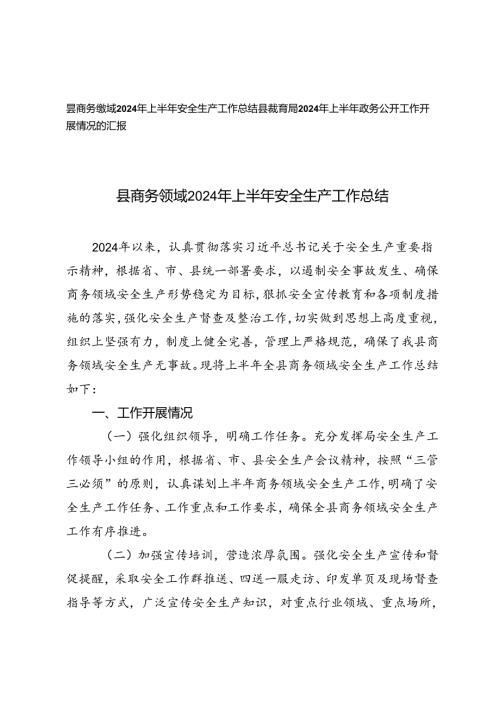 2篇 县教育局2024年上半年政务公开工作开展情况的汇报+2024年上半年安全生产工作总结.docx