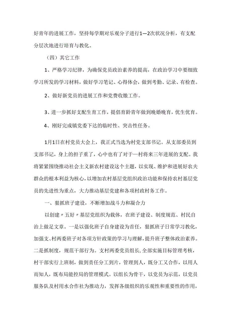 20xx村级党支部工作计划范文五篇.docx_第2页