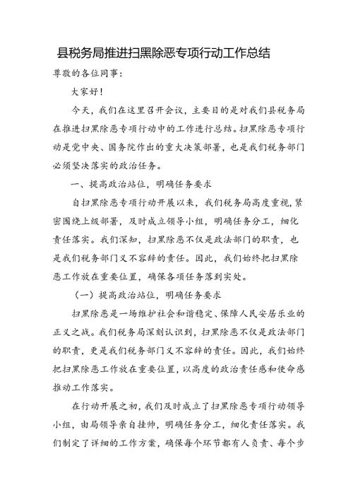 县税务局推进扫黑除恶专项行动工作总结.docx