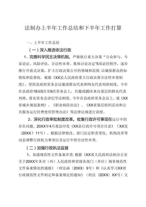 法制办半年工作总结.docx
