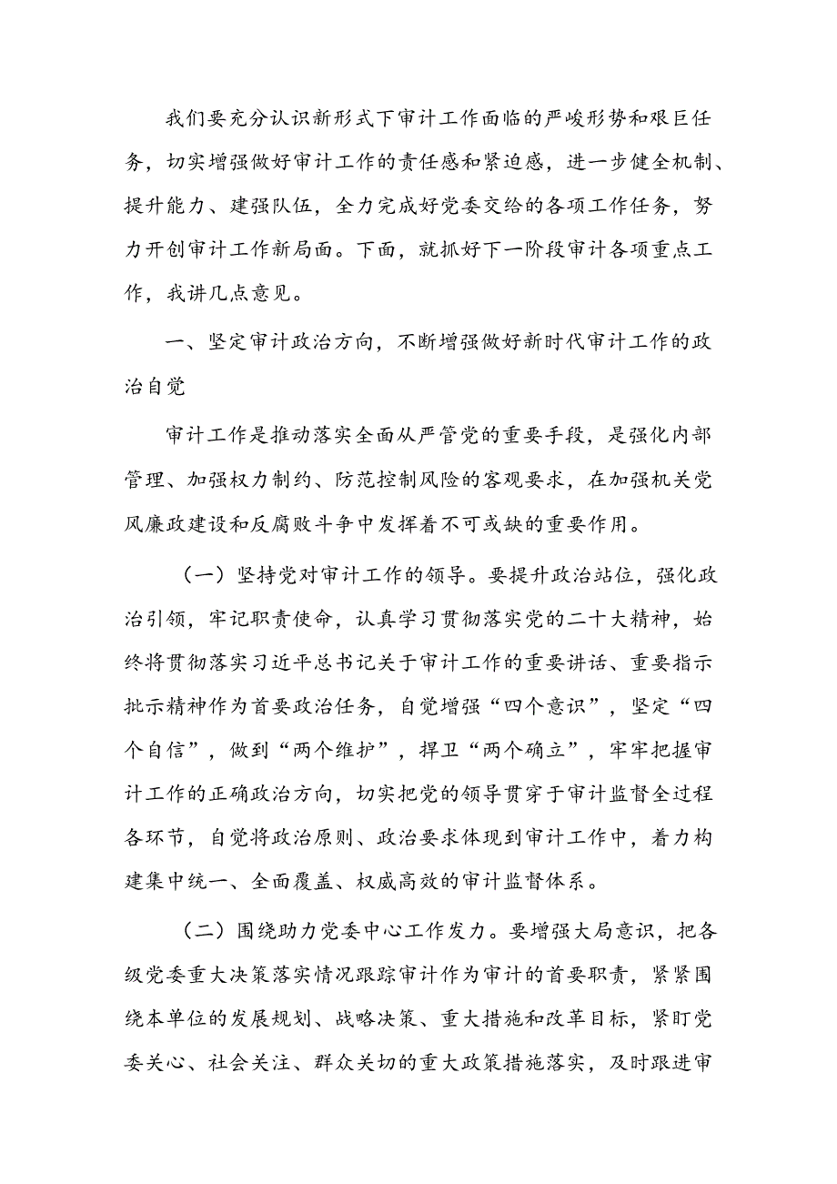 在审计工作会议上的讲话(1).docx_第3页