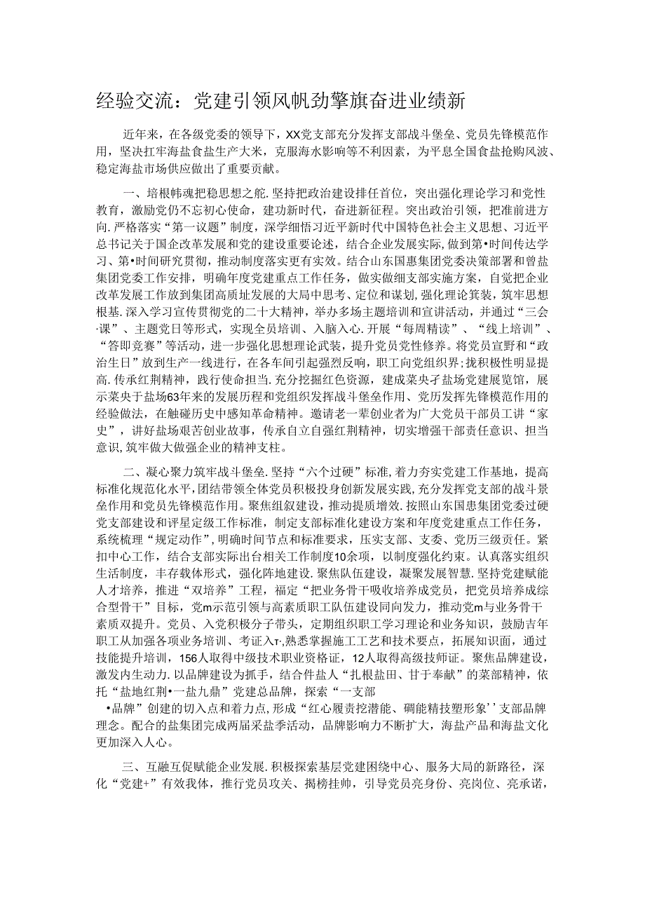 经验交流：党建引领风帆劲 擎旗奋进业绩新.docx_第1页