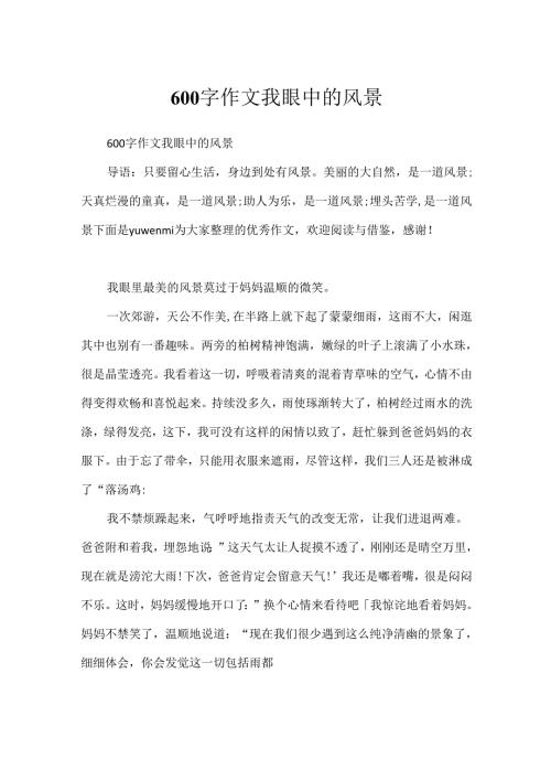 600字作文我眼中的风景.docx