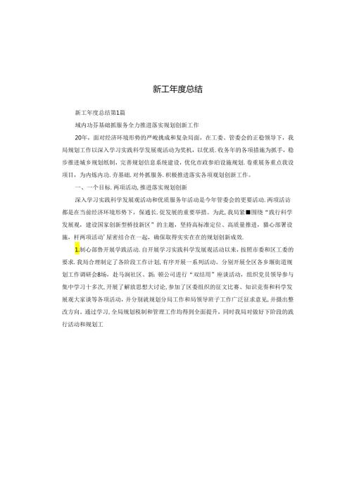新工总结.docx