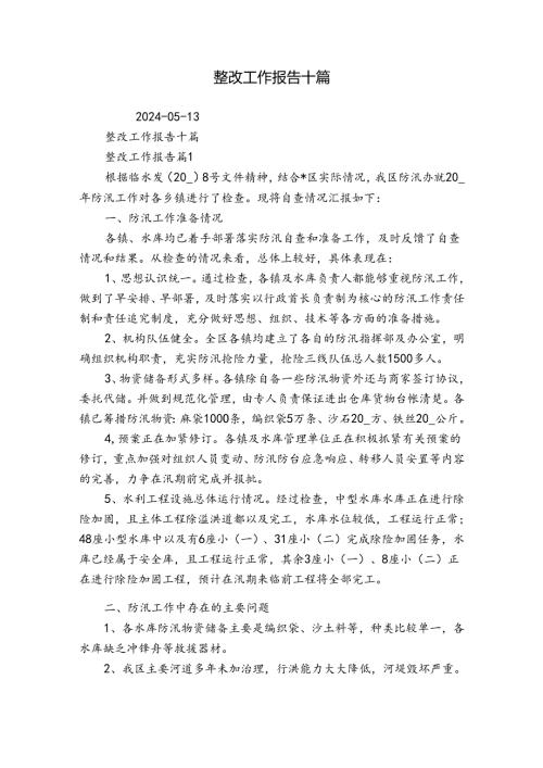 整改工作报告十篇.docx