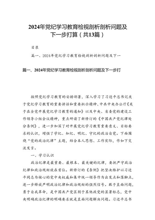 2024年党纪学习教育检视剖析剖析问题及下一步打算（共13篇）.docx