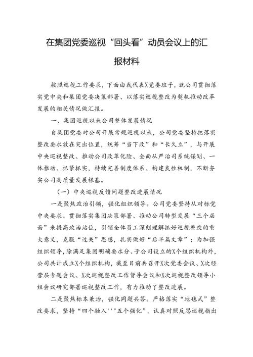 在集团党委巡视“回头看”动员会议上的汇报材料(1).docx