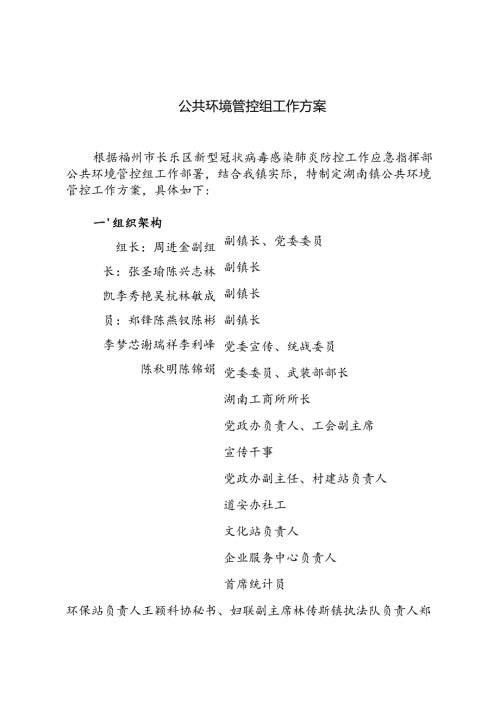 公共环境管控组工作方案.docx