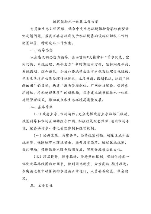 城区供排水一体化工作方案.docx