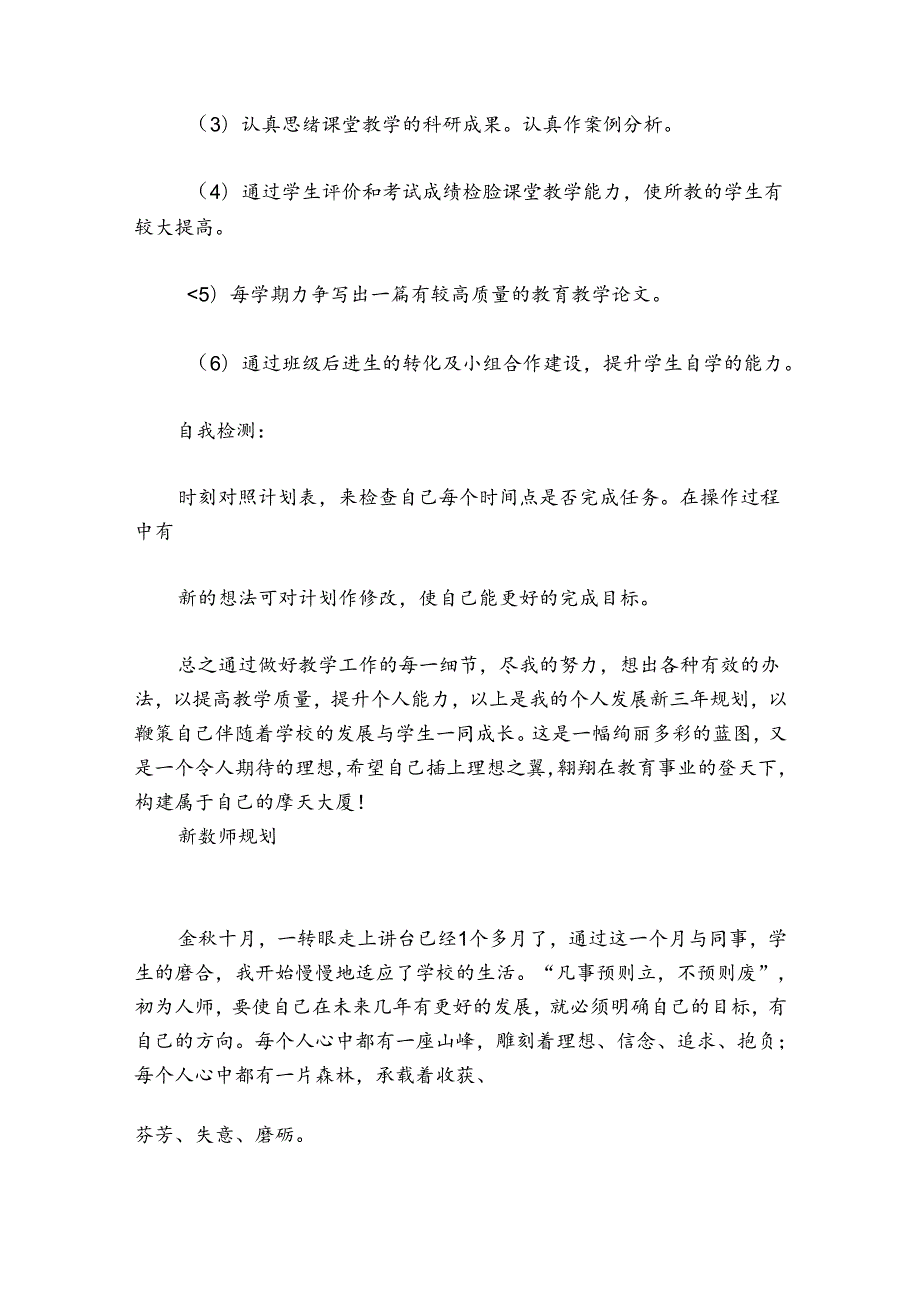 新教师规划 范文20242024(通用6篇).docx_第2页