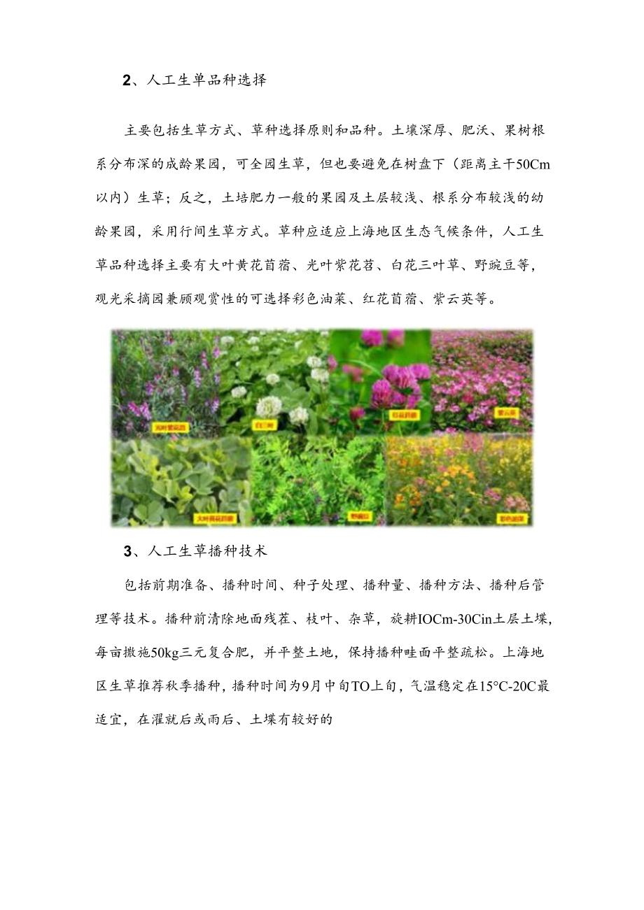 2024年上海市农业主推技果园生草栽培技术.docx_第3页