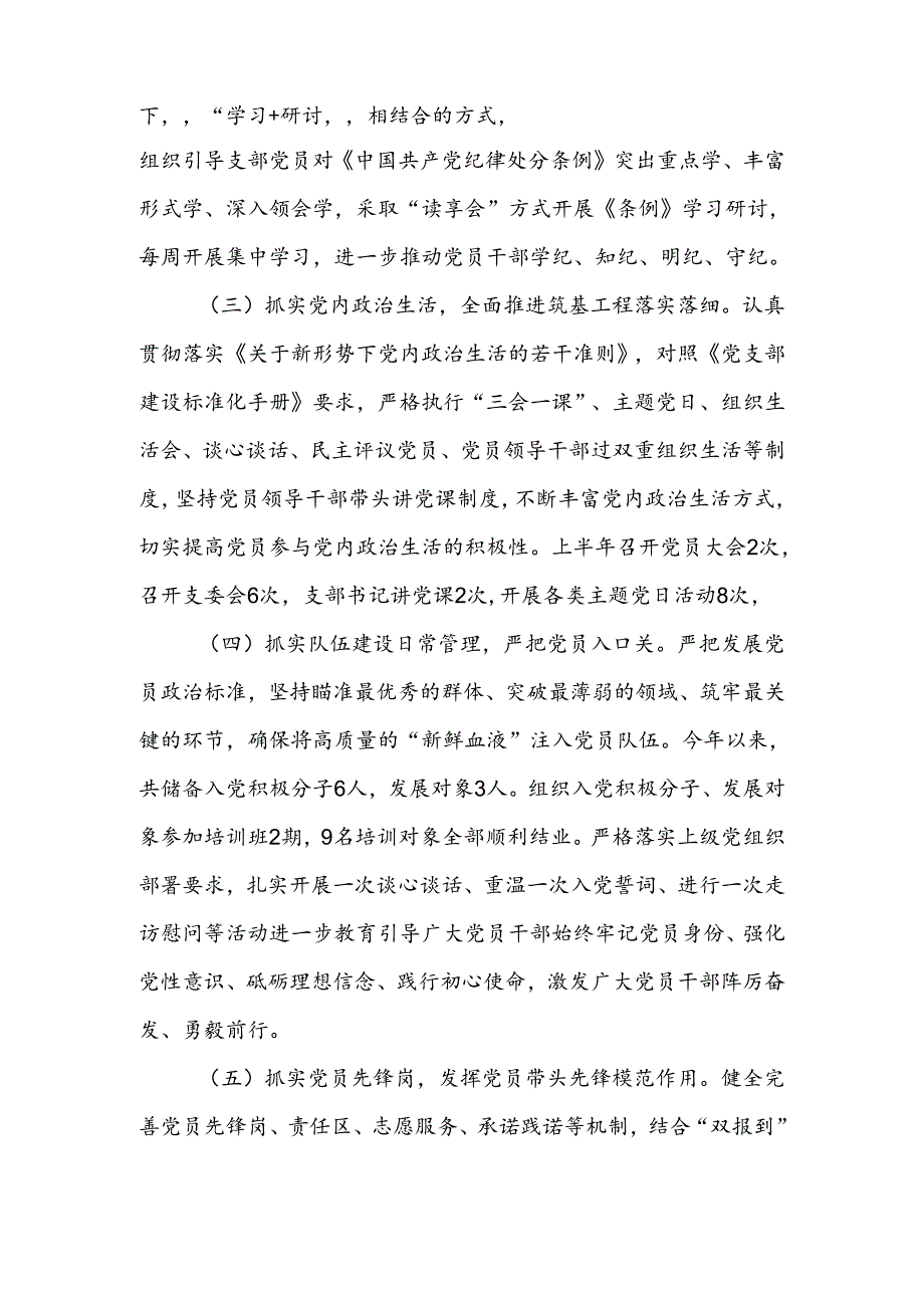 2024年6月基层党支部上半年工作总结报告5篇.docx_第2页