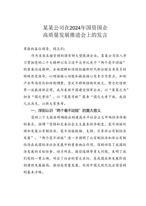 某某公司在2024年国资国企高质量发展推进会上的发言.docx