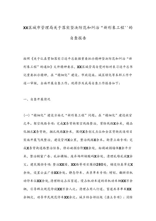 XX区城市管理局关于落实坚决防范和纠治“新形象工程”的自查报告.docx