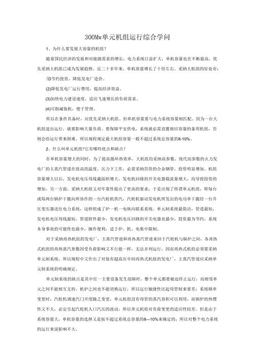 300Mw单元机组运行综合知识.docx