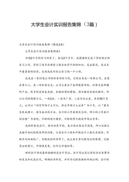 大学生会计实训报告集锦（3篇）.docx