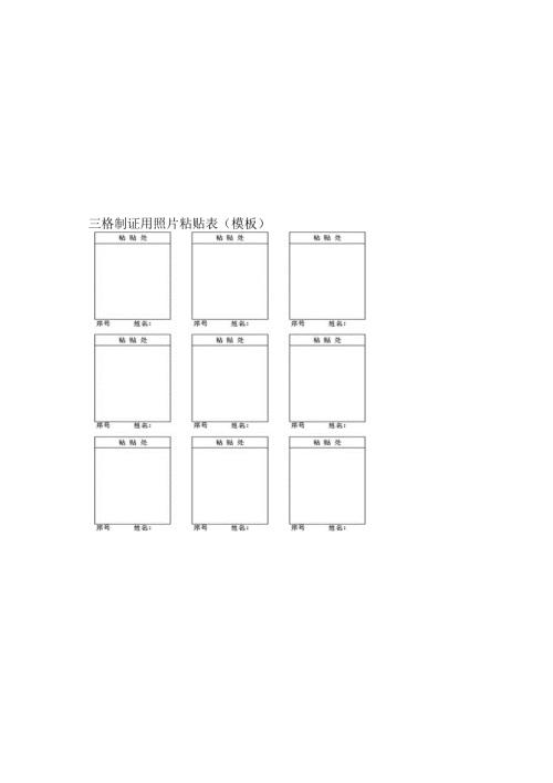 制证用照片黏贴表模板.docx