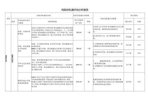 风险和机遇评估分析报告.docx