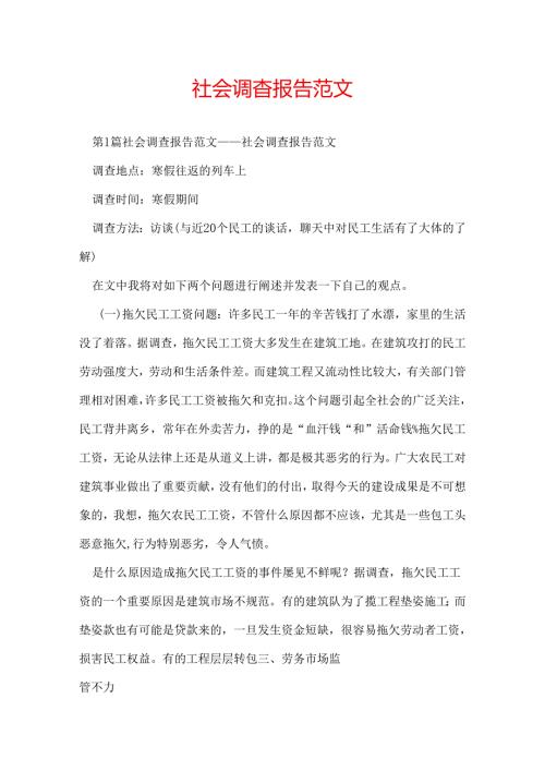 社会调查报告范文.docx
