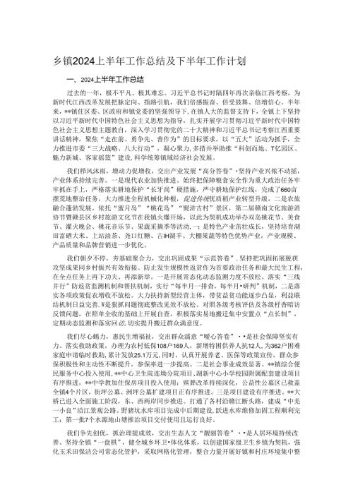 乡镇2024上半年工作总结及下半年工作计划.docx