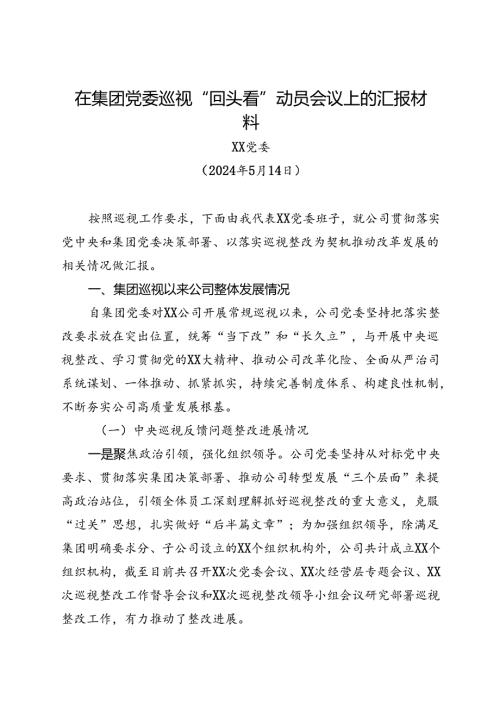 在集团党委巡视“回头看”动员会议上的汇报材料(2).docx