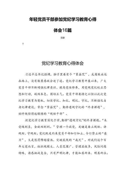 年轻党员干部参加党纪学习教育心得体会16篇.docx