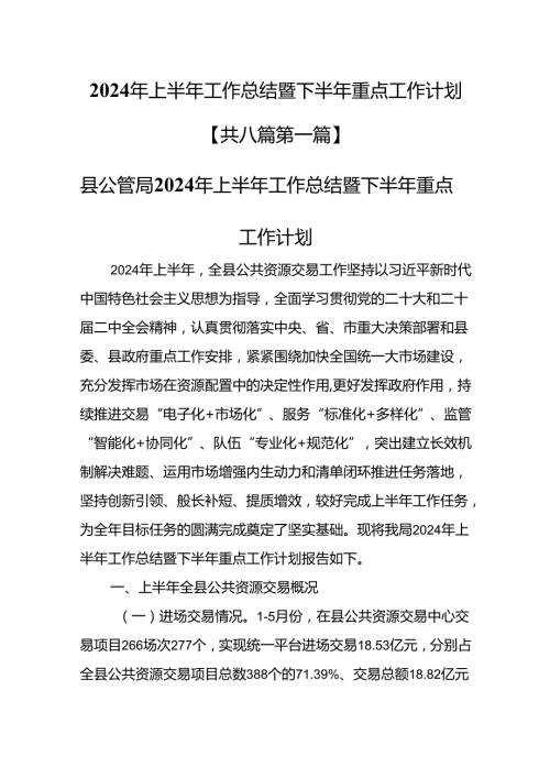 （8篇）2024年上半年工作总结暨下半年重点工作计划.docx