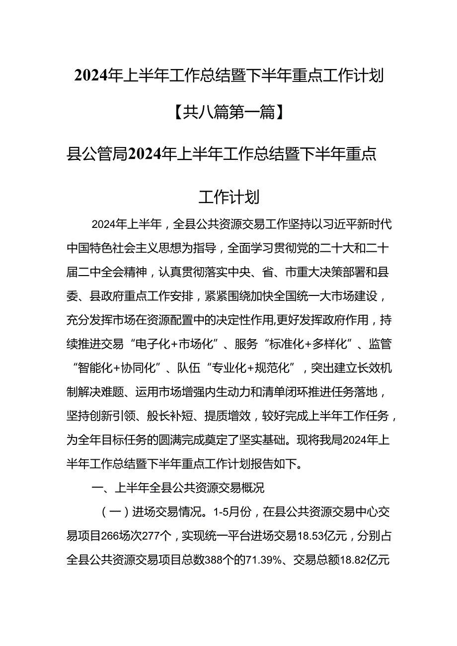 （8篇）2024年上半年工作总结暨下半年重点工作计划.docx_第1页