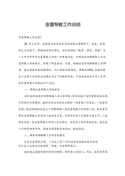 安置帮教工作总结.docx