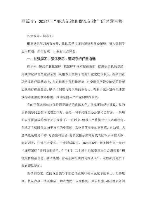两篇文：2024年“廉洁纪律和群众纪律”研讨发言稿.docx