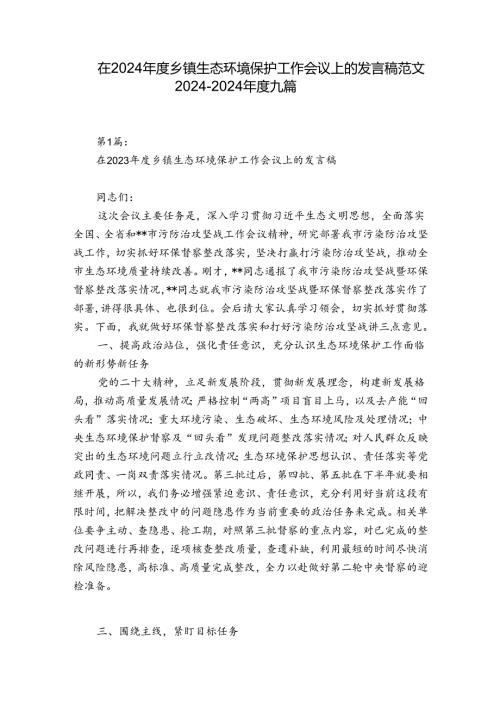 在2024乡镇生态环境保护工作会议上的发言稿范文20242024九篇.docx