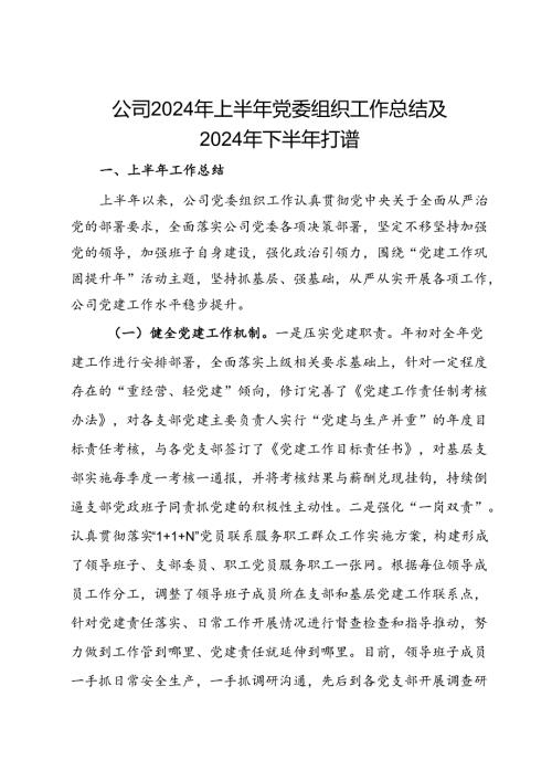 公司2024年上半年党委组织工作总结及2024年下半年打谱.docx