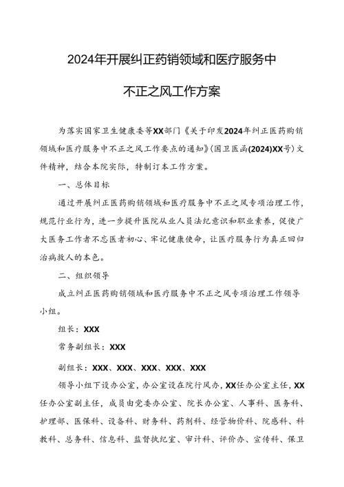 2024年医院开展纠正药销领域和医疗服务中不正之风工作方案合计6份.docx