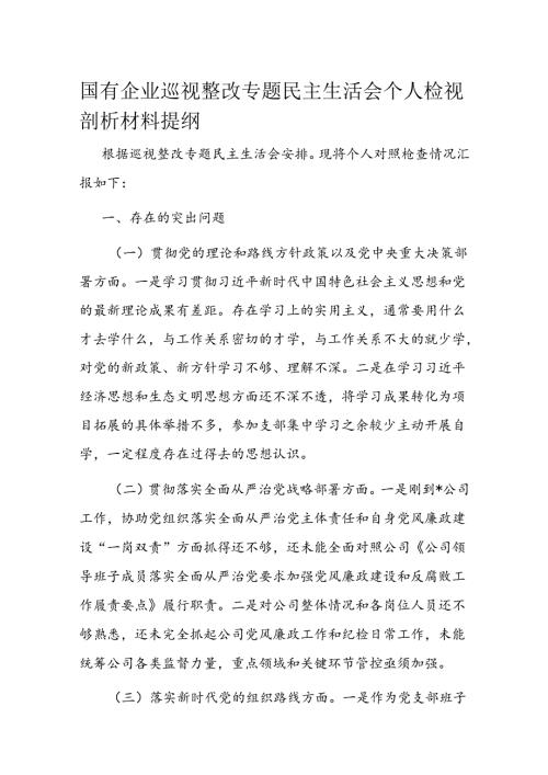 国有企业巡视整改专题民主生活会个人检视剖析材料提纲(1).docx