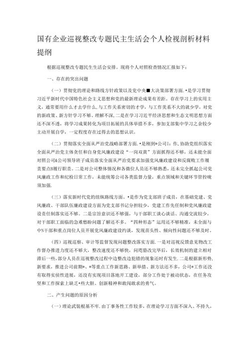 国有企业巡视整改专题民主生活会个人检视剖析材料提纲.docx