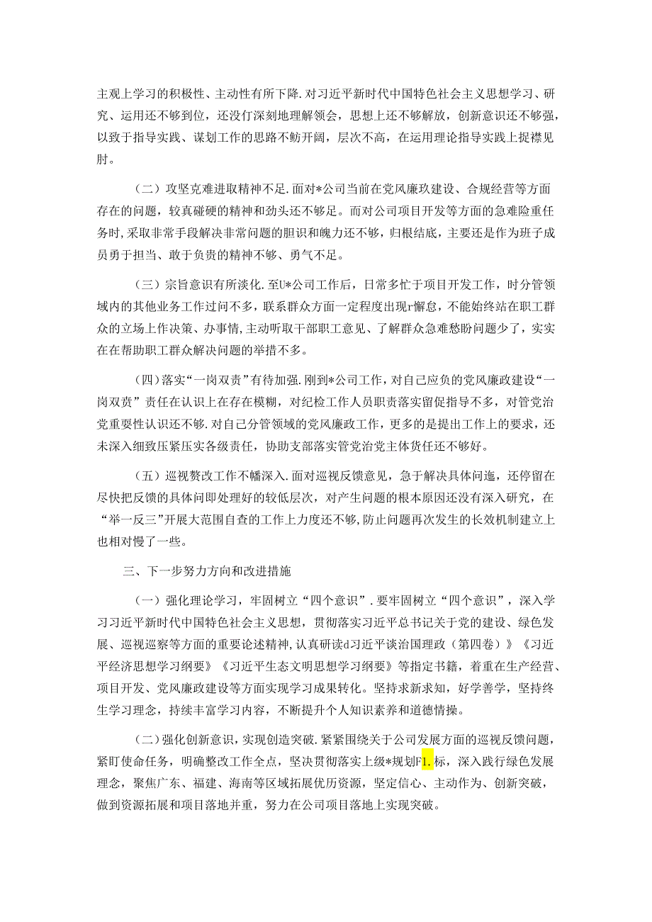国有企业巡视整改专题民主生活会个人检视剖析材料提纲.docx_第2页