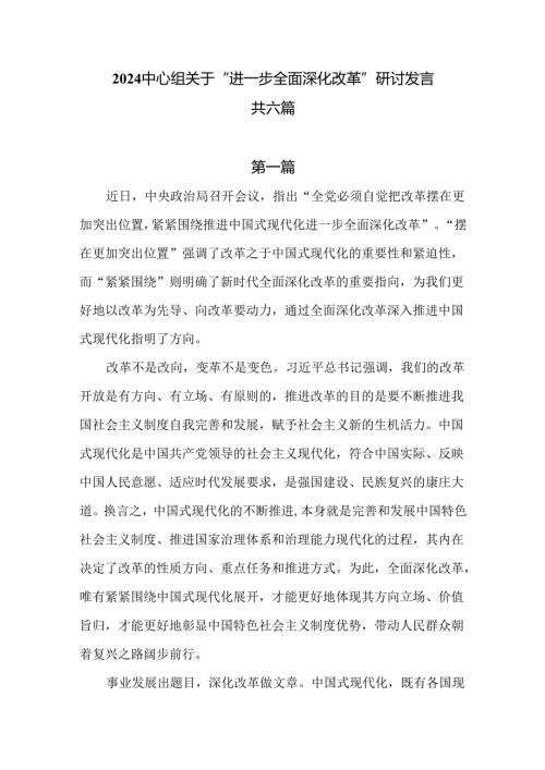 2024深化改革研讨发言共六篇.docx