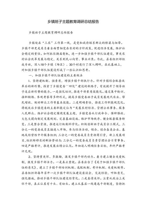 乡镇班子主题教育调研总结报告.docx