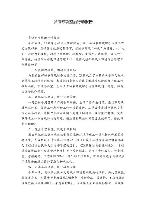 乡镇专项整治行动报告.docx