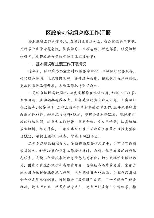 区政府办党组巡察工作汇报.docx