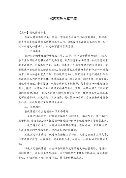 巡视整改方案三篇.docx
