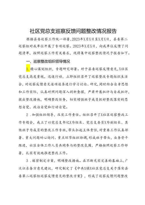 社区党总支巡察反馈问题整改情况报告.docx